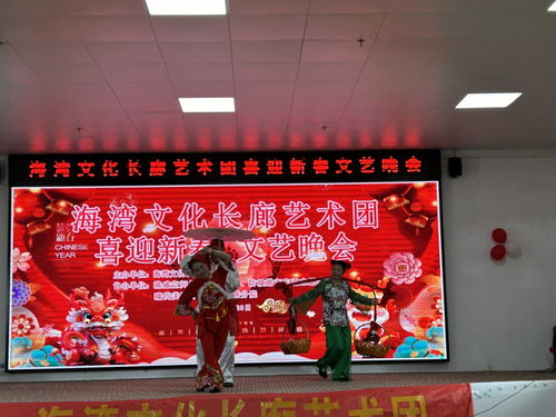 市文促会海湾文化长廊艺术团举办喜迎新春文艺晚会